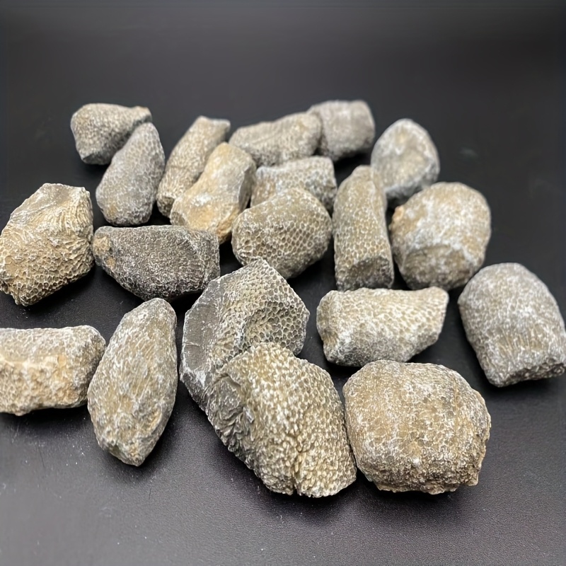Aquarium Marine Rock - 1 szt. Naturalny Koralowy Kamień Odpowiedni