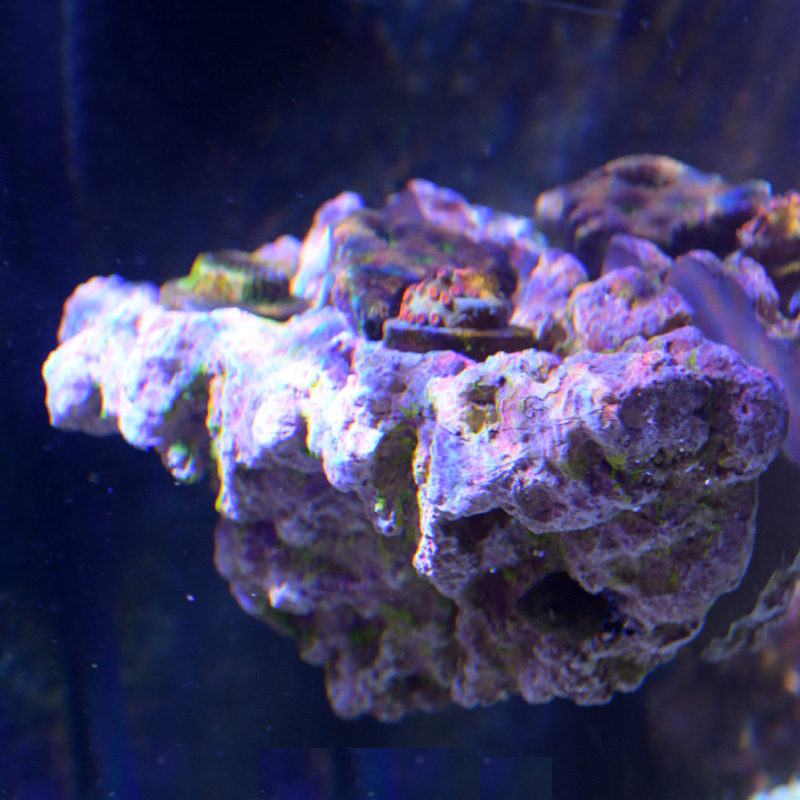 Akwarium Vastocean Magnetyczny – Aquarium Marine Rock recenzja i cena