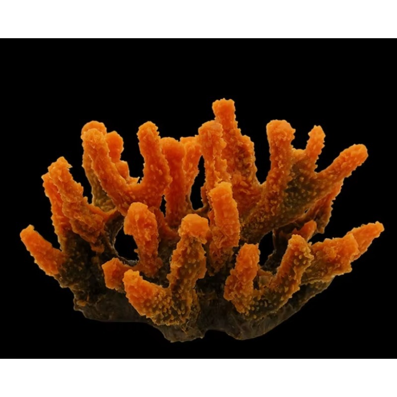Sztuczne korale z żywicy do ak – Aquarium Marine Rock recenzja i cena