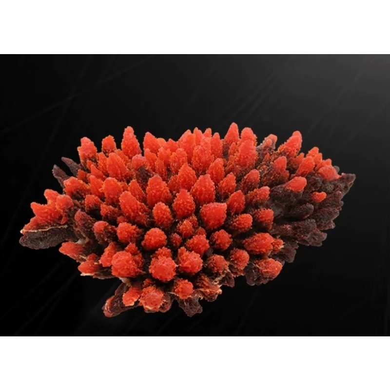 Sztuczne korale z żywicy do ak – Aquarium Marine Rock recenzja i cena