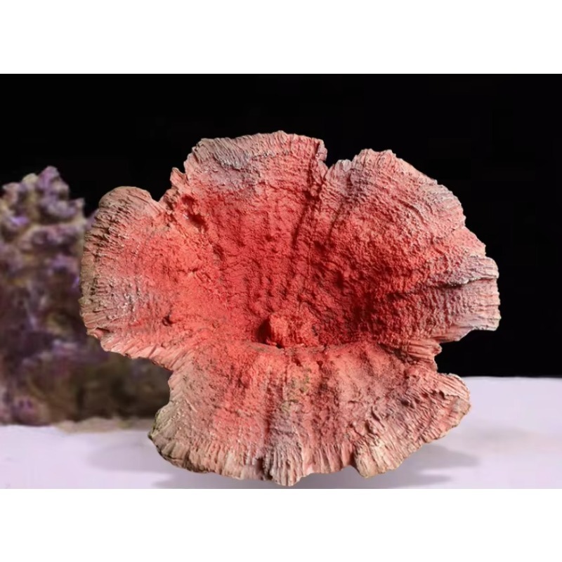 Ręcznie Robione Sztuczne Dekor – Aquarium Marine Rock recenzja i cena