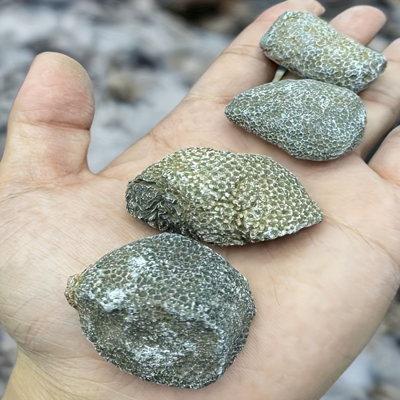 1 szt. Naturalny Koralowy Kami – Aquarium Marine Rock recenzja i cena