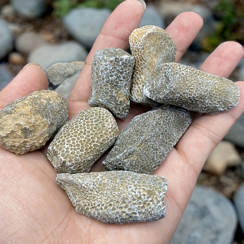 1 szt. Naturalny Koralowy Kami – Aquarium Marine Rock recenzja i cena